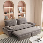 73.2" Queen Pull-Out Sofa Bed