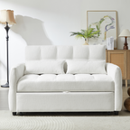52.8" Loveseat Pull-Out Sleeper Sofa Bed