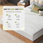 12" Memory Foam Mattress