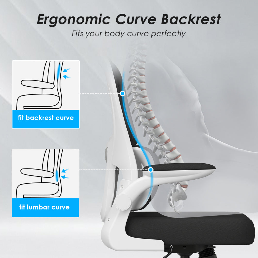 Mesh Ergonomic Office Chair
