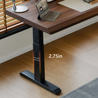 47" Solid Rubberwood Electric Standing Desk