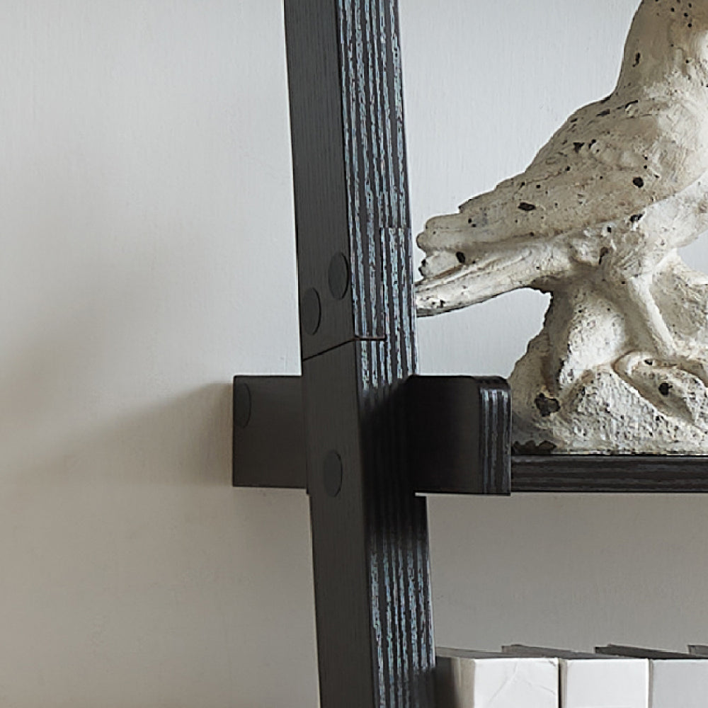 Bookcase ladder five shelf popular modern design