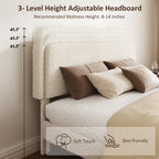 Teddy Bear Plush Platform Bed