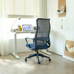 Ergonomic High-Back Mesh Office Chair