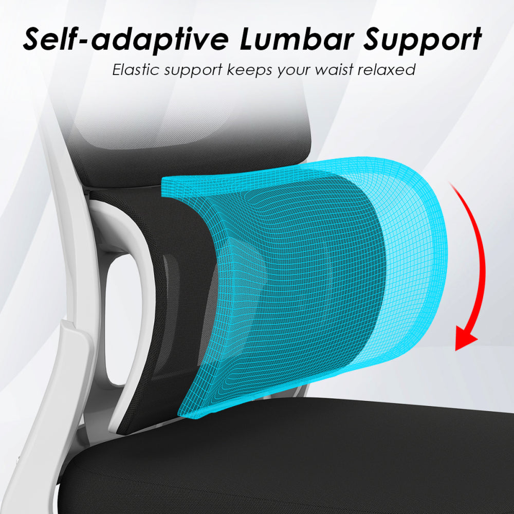 Mesh Ergonomic Office Chair