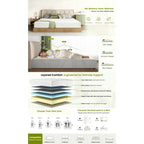 12" Memory Foam Mattress