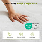 12" Memory Foam Mattress
