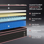 Noir H14 Hybrid Mattress — 10"
