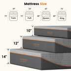 12" Memory Foam Mattress