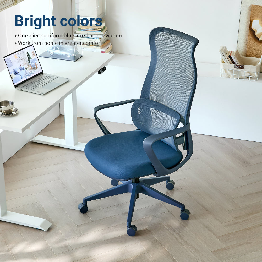 Ergonomic High-Back Mesh Office Chair