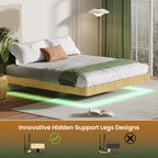 Oak King Floating Bed Frame with LED Lights